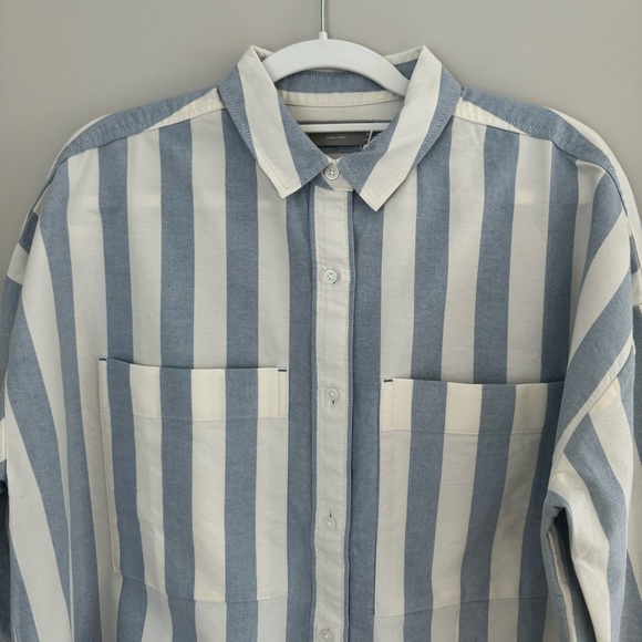 NWT Everlane Organic Cotton The Boxy Oxford Button Down Striped Oversized Shirt - Picture 6 of 16